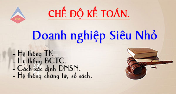 Hệ thống tài khoản kế toán doanh nghiệp siêu nhỏ 